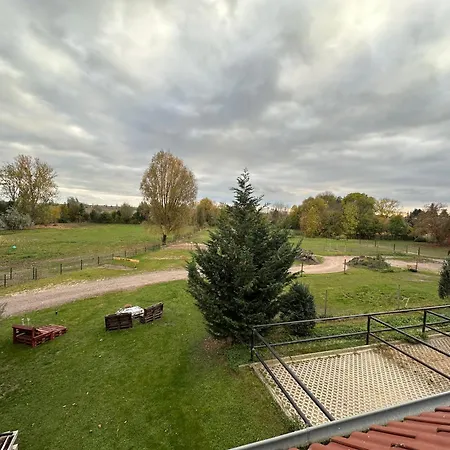 Ruhiges Wohlfuehlzimmer Auf Dem Pferdehof Gut Greppin - Mit Kochnische, Wlan & Kostenlosem Parken Eksteriør billede