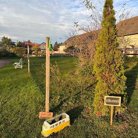 Ruhiges Wohlfuehlzimmer Auf Dem Pferdehof Gut Greppin - Mit Kochnische, Wlan & Kostenlosem Parken Eksteriør billede