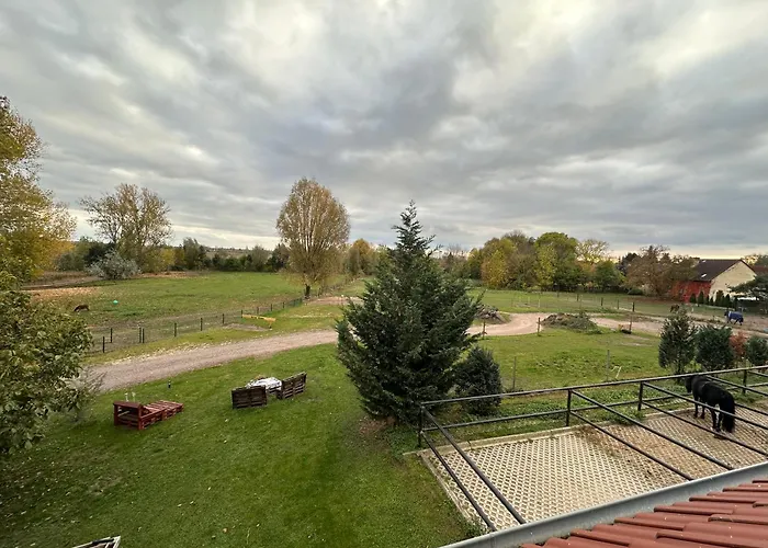 Ruhiges Wohlfuehlzimmer Auf Dem Pferdehof Gut Greppin - Mit Kochnische, Wlan & Kostenlosem Parken