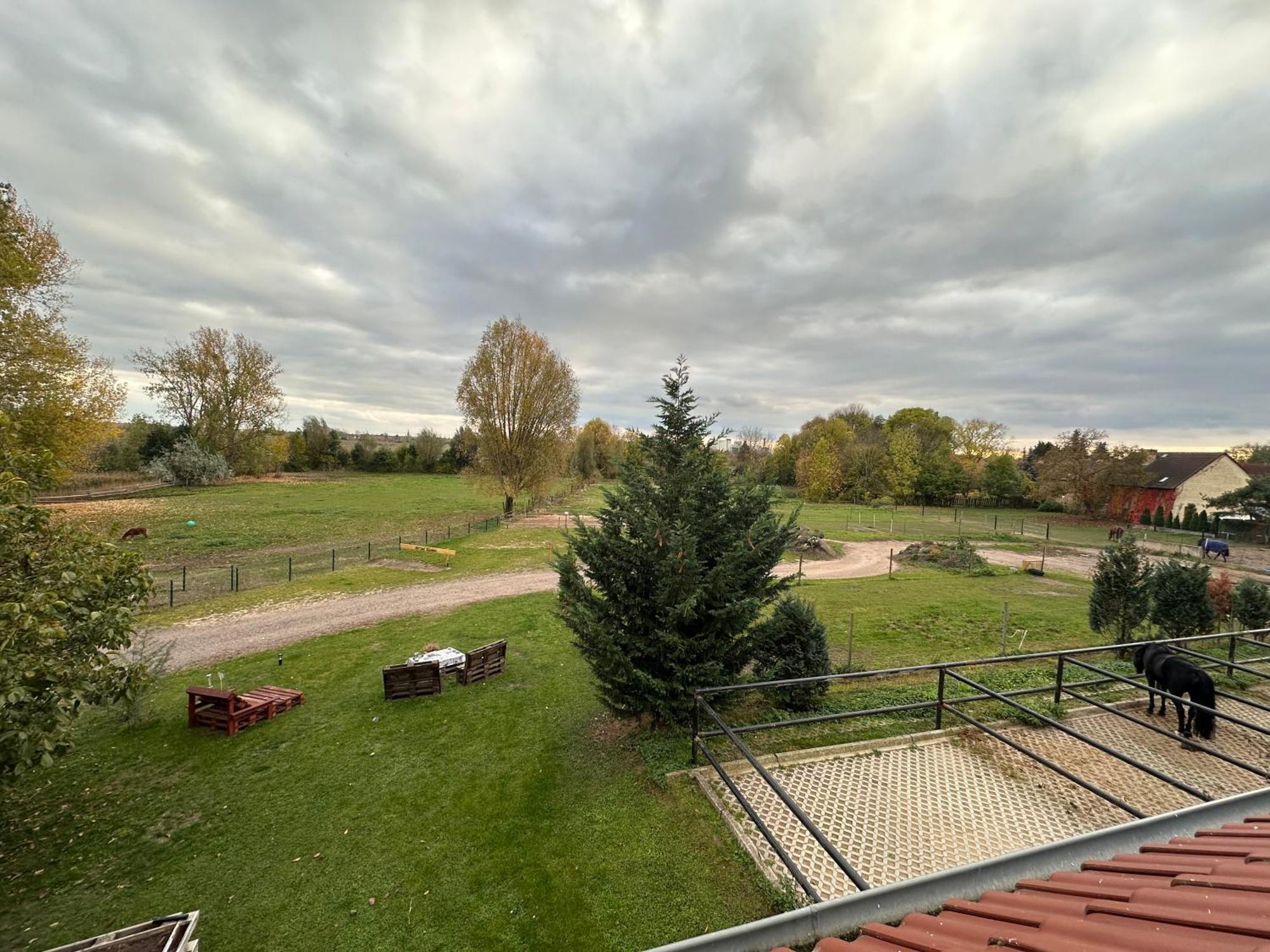 Ruhiges Wohlfuehlzimmer Auf Dem Pferdehof Gut - Mit Kochnische, Wlan & Kostenlosem Parken